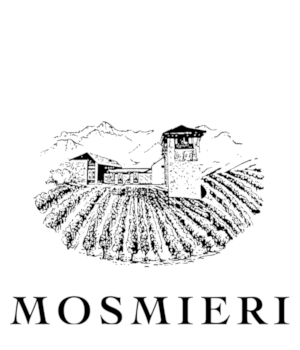 Mosmieri - Weingut im Weinbaugebiet Tsinandali, Kachetien