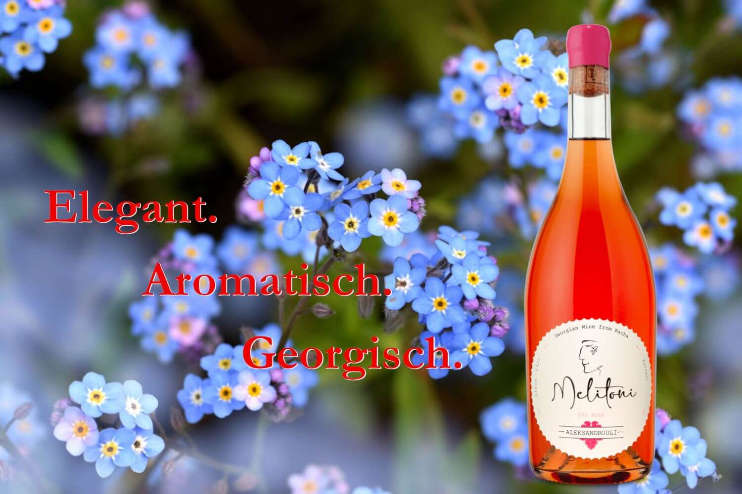 zum Wein der Woche